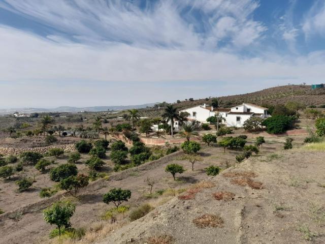 Terreno, Camino Algarrobo Las Arenas, Vélez Malaga