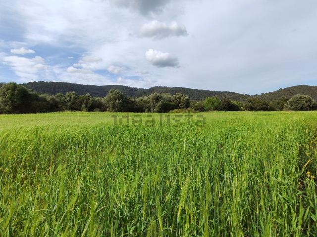 Terreno, Campanet