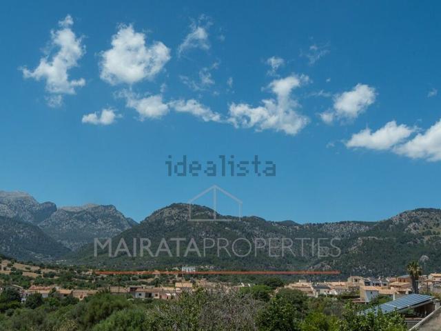 Terreno, Campanet