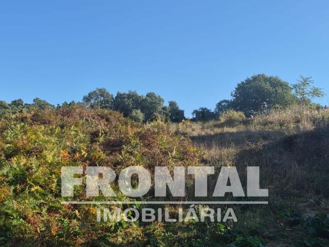 Terreno, Campanhã