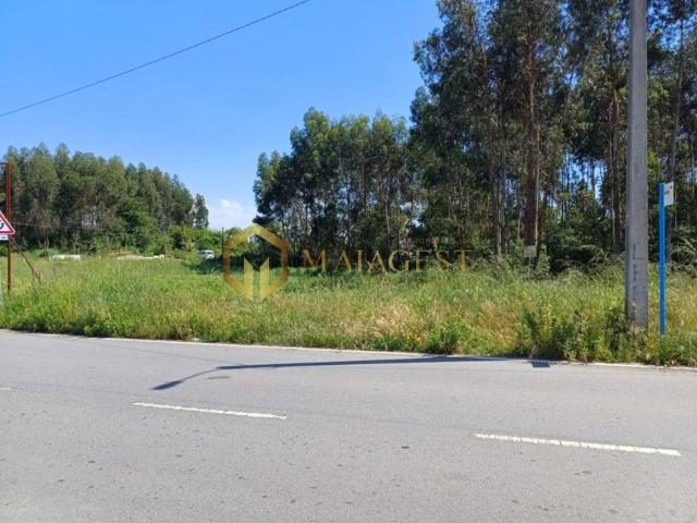 Terreno, Campanhã