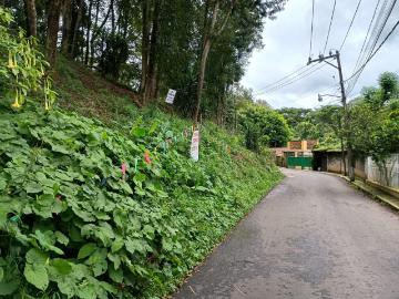 TERRENO CAMPESTRE