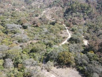 Terreno campestre