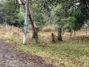 Terreno campestre