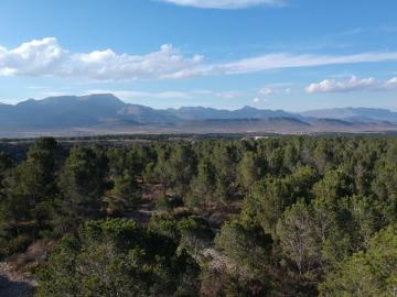 TERRENO campestre 20 ha, Ejido la Angostura en Coahuila