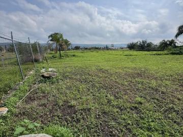 Terreno campestre de 3,195 m² con palapa y agua — La Paz, Zapotlanejo, Jalisco