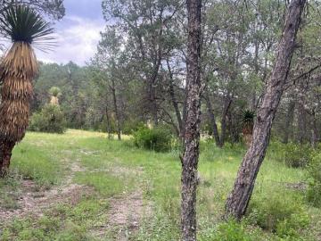 TERRENO CAMPESTRE EN VENTA