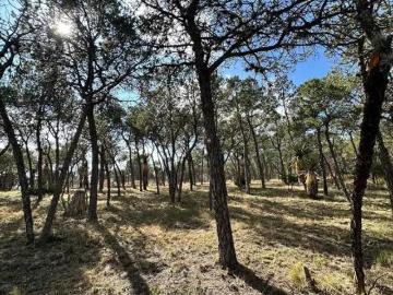 TERRENO CAMPESTRE EN VENTA ARTEAGA COAHUILA
