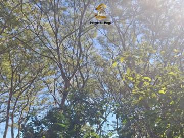 TERRENO CAMPESTRE EN VENTA EN VILLA DE ALVAREZ, COLIMA
