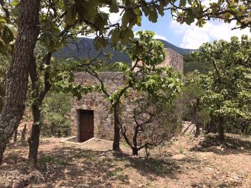 Terreno CAMPESTRE EN VENTA EN COMUNIDAD DE RANCHOS EN SAN MARTÍN DE TERREROS, ESTADO DE GUANAJUATO