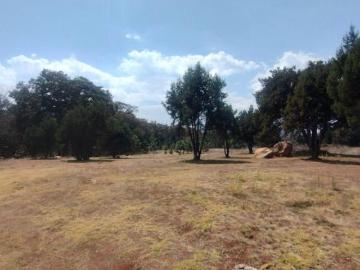 TERRENO CAMPESTRE EN VENTA EN EL BOSQUE DE BERMUDEZ,HUASCA,HIDALGO