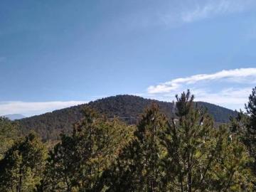 Terreno Campestre en VENTA en Fracc. Sierra Escondida