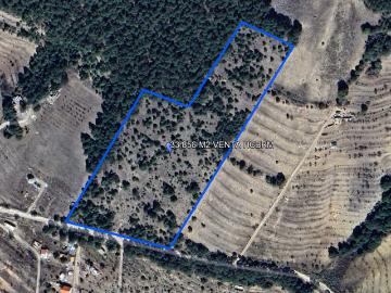 Terreno Campestre en Venta en Puerto Carbonera, Arteaga, Coahuila