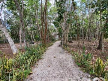 TERRENO CAMPESTRE EN VENTA OPORTUNIDAD DE INVERSIÓN LEONA VICARIO CANCUN