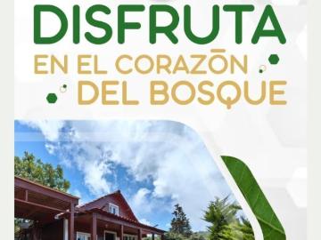 Terreno campestre en Bosques del Sur SCLC