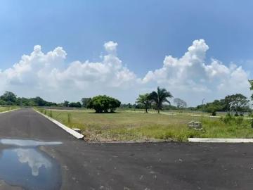 TERRENO CAMPESTRE EN EL TEJAR VERACRUZ DESDE 150M2