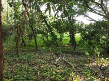 TERRENO CAMPESTRE EN EN QUINTAS DORANTES FRENTE A ALTOZANO PARA CASA DE CAMPO