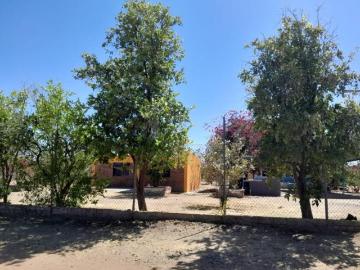 Terreno Campestre en Fracc. Real del Alamito, Sección Arboledas