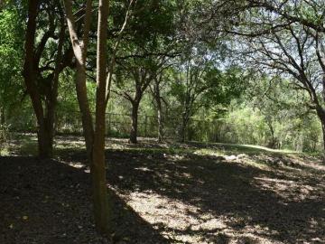 Terreno Campestre en Huajuquito, Santiago Nuevo León 4