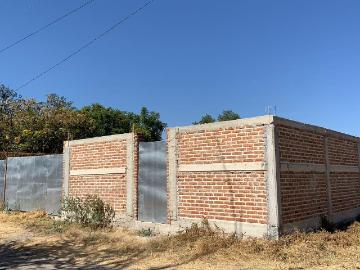 Terreno Campestre en Los Pedroza en San Francisco del Rinc?n