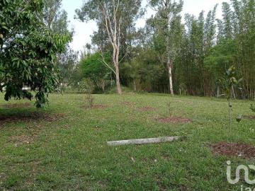 Terreno campestre en residencial privado Tres Pasos, Veracruz en venta