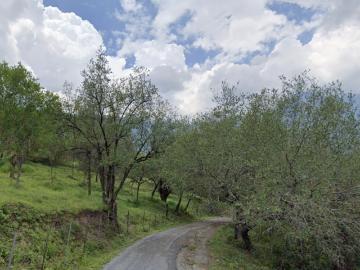 Terreno Campestre en Santiago Ideal Para Quinta