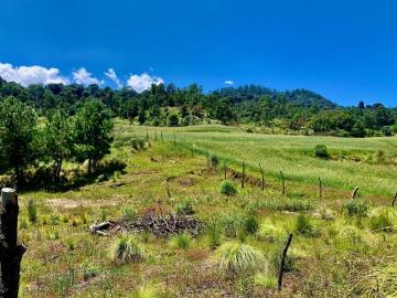 Terreno campestre para rancho o casa de campo