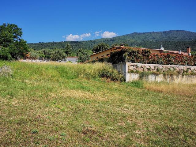 Terreno, Campins