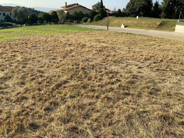 Terreno, Campins