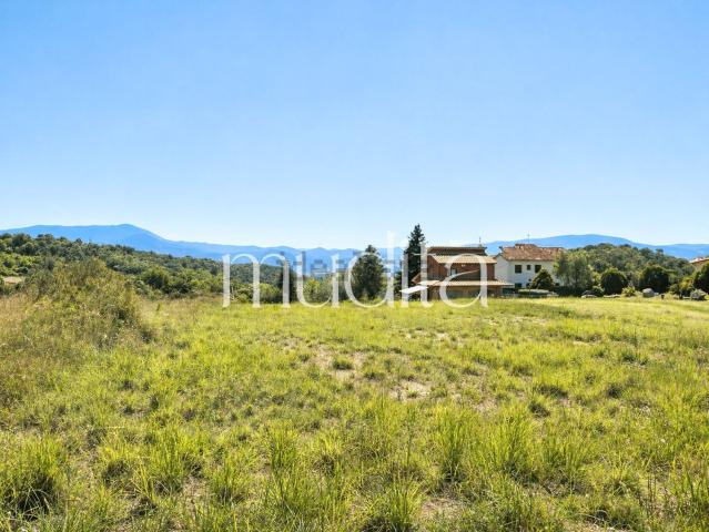 Terreno, Campins