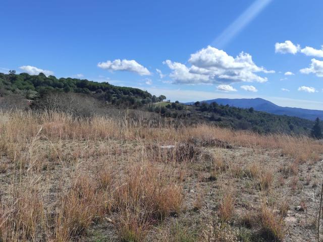 Terreno, Campins