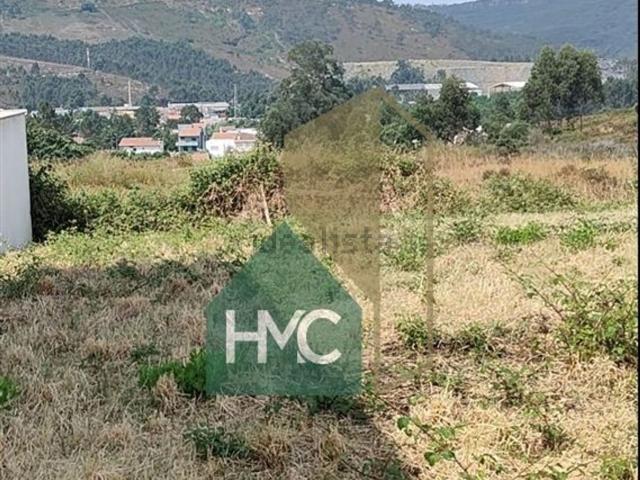 Terreno, Campo