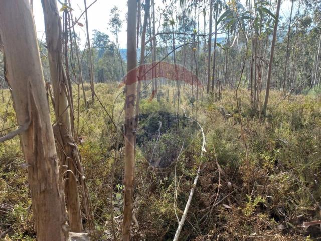 Terreno, Sobrado