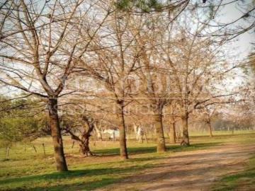Terreno Campo en Venta en Exaltación de la Cruz, G.B.A. Zona Norte, Argentina