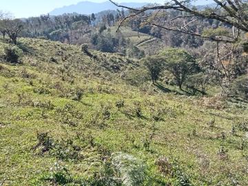 Terreno Campo Viejo