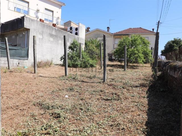 Terreno, Campo