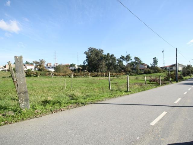 Terreno, Campo
