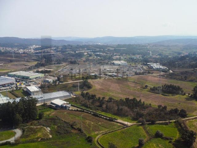 Terreno, Campo