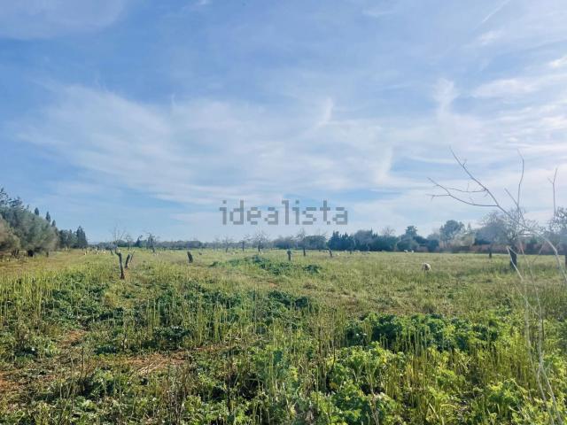 Terreno, Campos