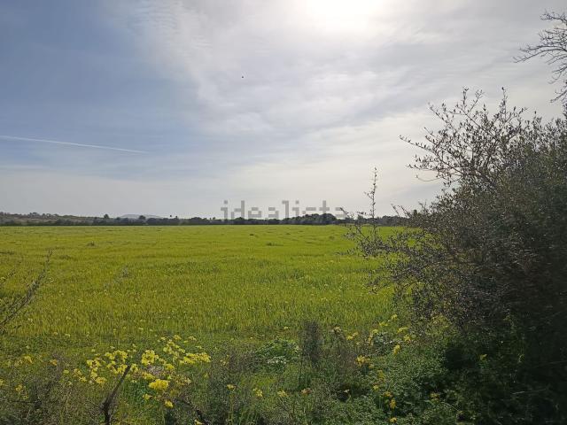 Terreno, Campos