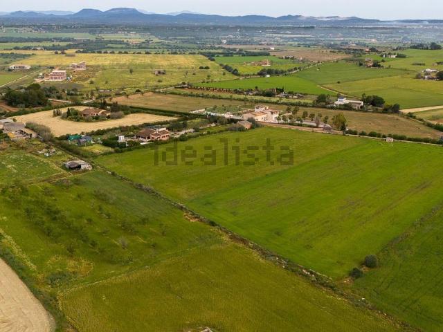 Terreno, Campos