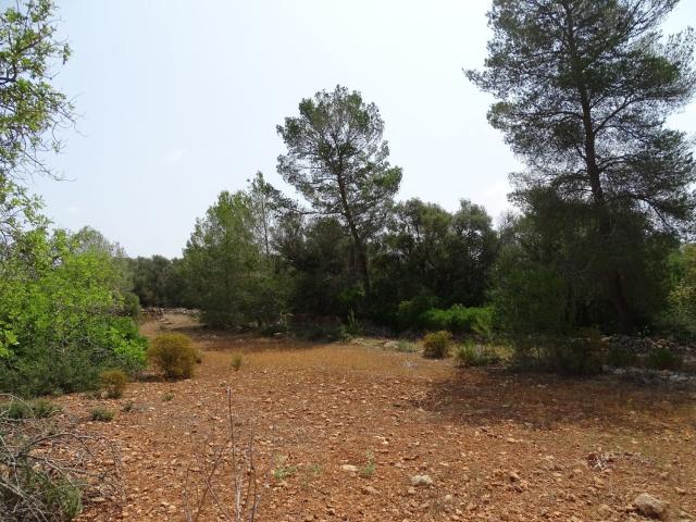 Terreno, Campos