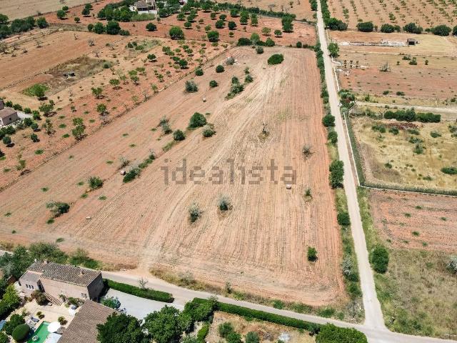 Terreno, Campos