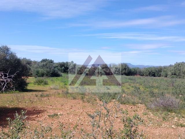 Terreno, Campos