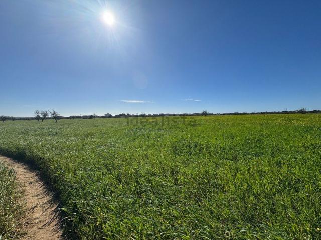 Terreno, Campos