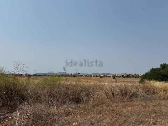 Terreno, Campos