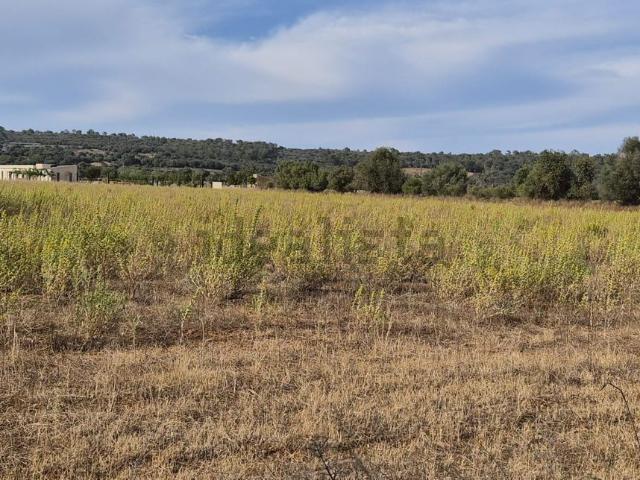 Terreno, Campos