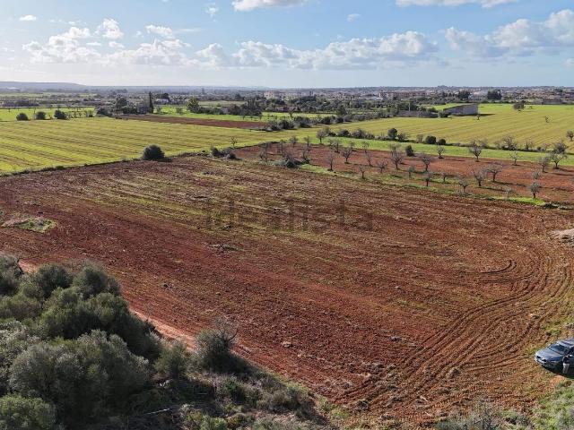 Terreno, Campos