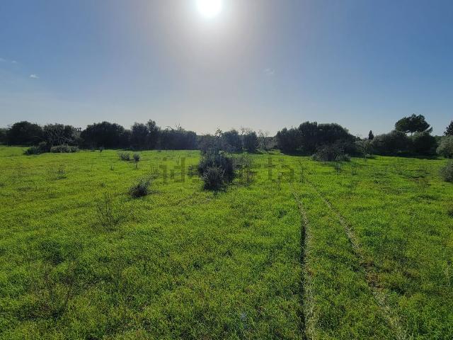 Terreno, Campos