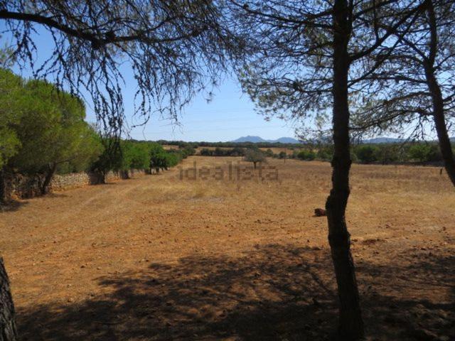 Terreno, Campos
